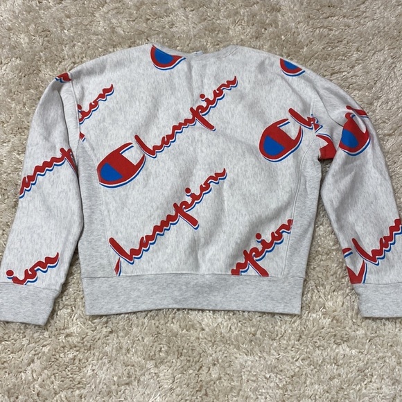 Gray Champion Logo crew neck cotton sweater, size medium - Picture 4 of 10